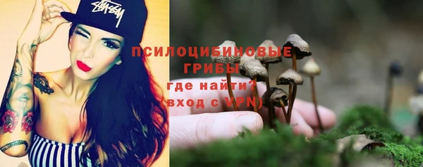 прущая мука Осинники