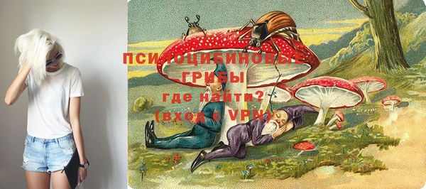 Альфа ПВП Нягань